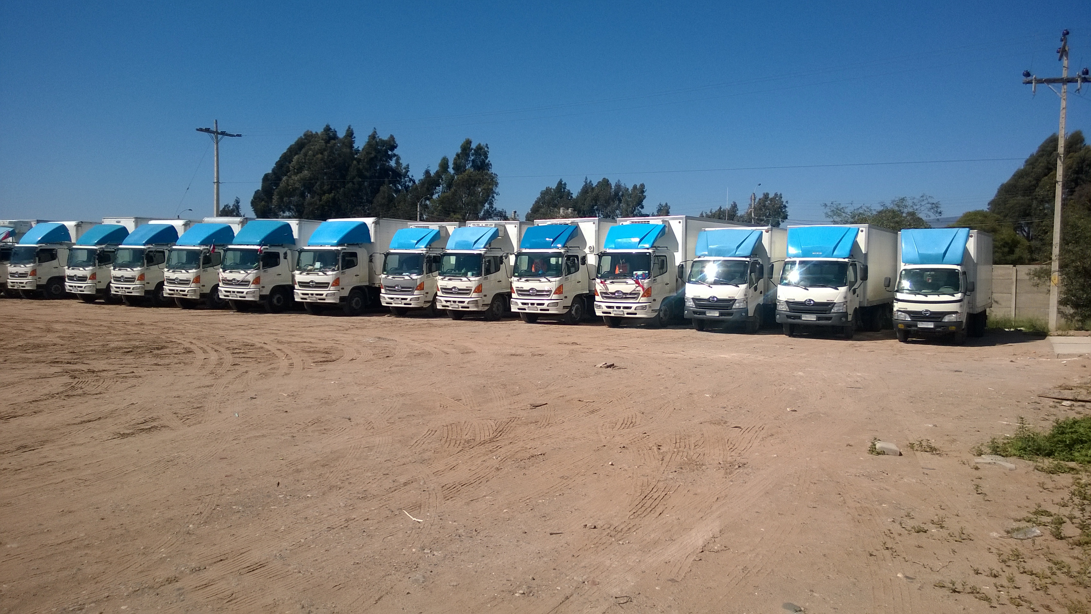 Servicios Ofrecidos
